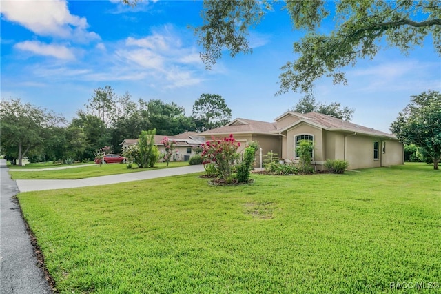 2459 N Brentwood Cir, Lecanto, FL 34461 - view of front of property featuring stucco siding and a front yard