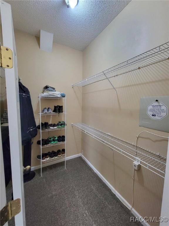 walk in closet with carpet flooring