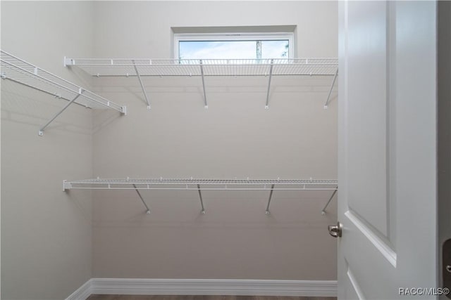 view of spacious closet