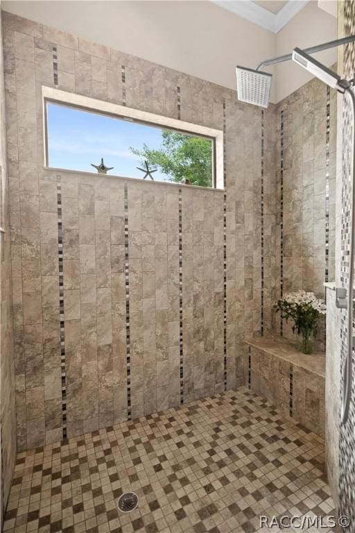 1462 N Ridge Meadow Path, Hernando, FL 34442 - full bathroom with tiled shower and crown molding