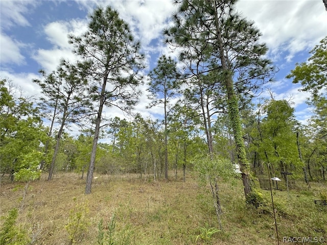 view of landscape