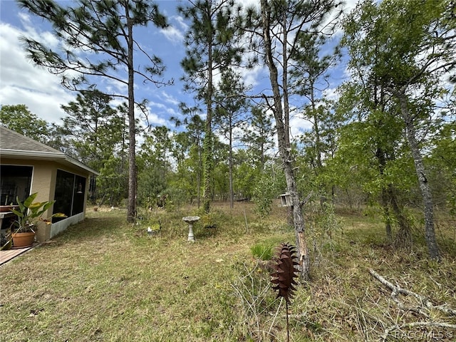 view of yard