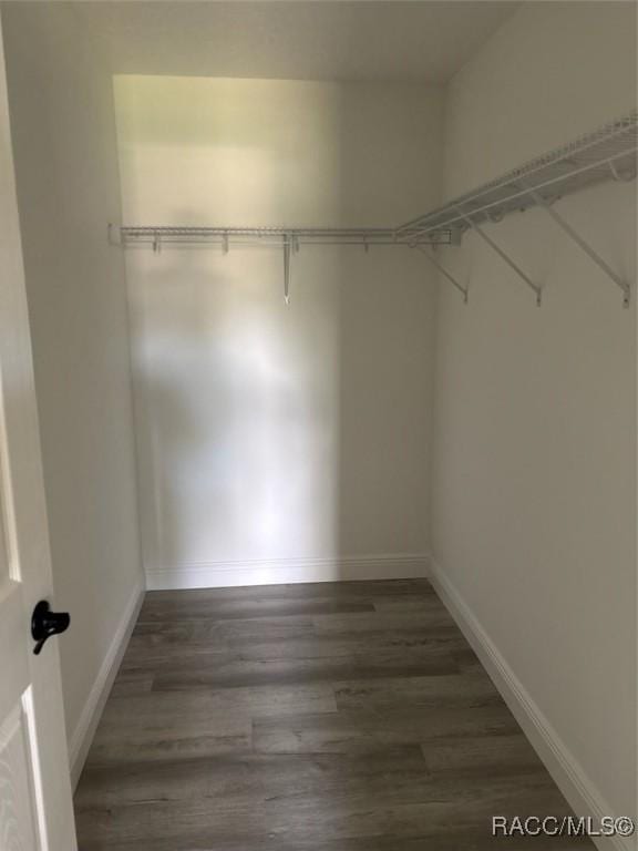 spacious closet with wood finished floors