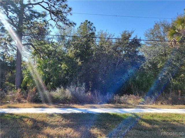 1224 S Suncoast Blvd, Homosassa FL, 34448 land for sale