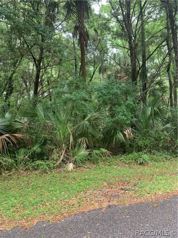 1420 NW 20th St, Crystal River, FL 34428