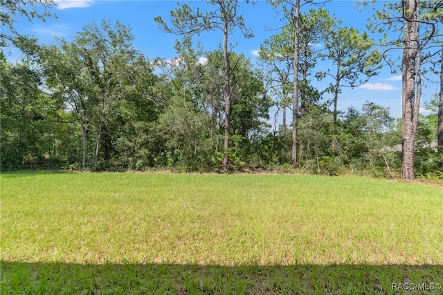 3015 W Juliet Pl, Citrus Springs, FL 34433 - photo 46