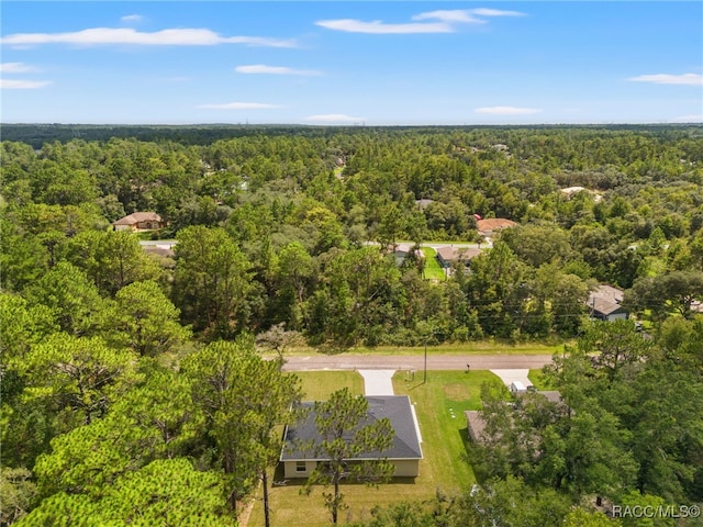 3015 W Juliet Pl, Citrus Springs, FL 34433 - photo 49