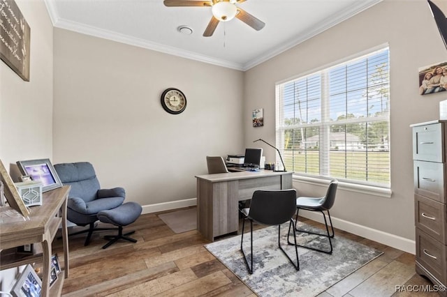 5888 W Corral Pl, Beverly Hills, FL 34465 - office with ceiling fan, ornamental molding, baseboards, and plenty of natural light
