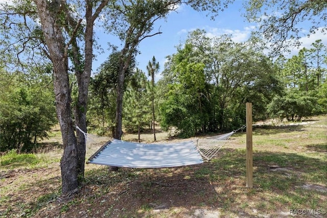 5888 W Corral Pl, Beverly Hills, FL 34465 - view of basketball court