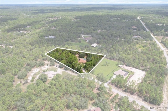 4491 W Stable Ct, Beverly Hills, FL 34465 - aerial view of property and surrounding area with a heavily wooded area and property boundaries highlighted