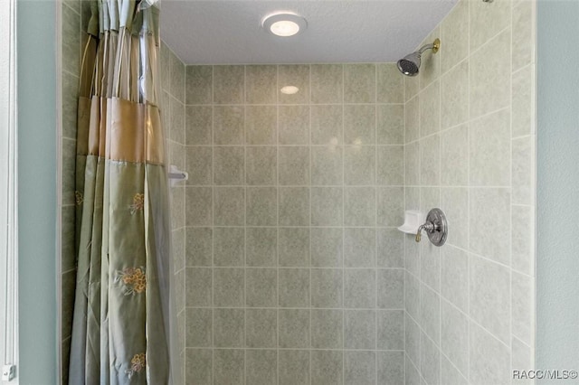 4491 W Stable Ct, Beverly Hills, FL 34465 - full bath with tiled shower