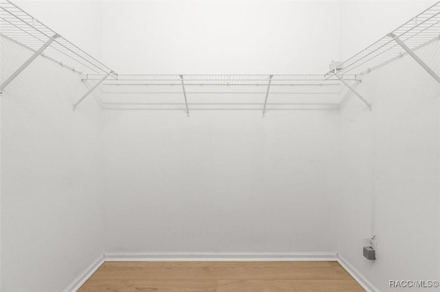 4491 W Stable Ct, Beverly Hills, FL 34465 - walk in closet with light wood-style flooring