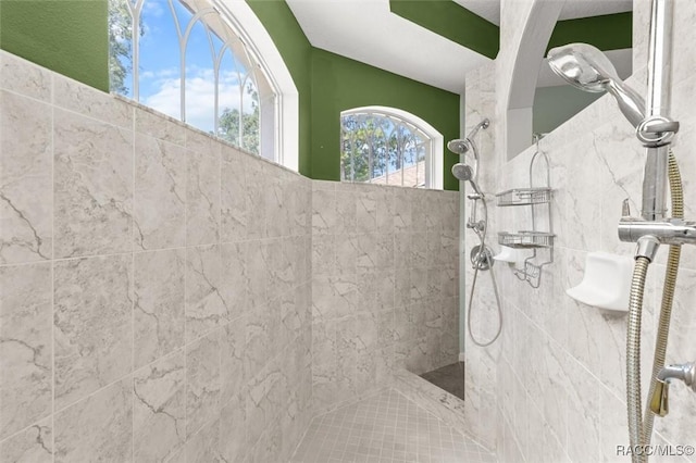 4491 W Stable Ct, Beverly Hills, FL 34465 - bathroom with a walk in shower