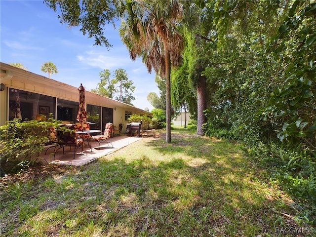 view of yard with a patio