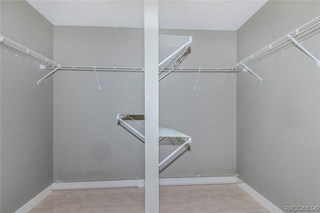 3356 N Bent Tree Pt, Lecanto, FL 34461 - view of walk in closet