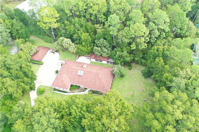 21389 SW 102cd St, Dunnellon, FL 34431 - photo 12