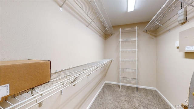 spacious closet featuring carpet flooring