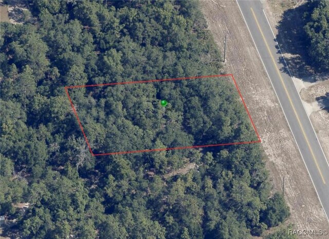 1638 S Rock Crusher Rd, Homosassa, FL 34448