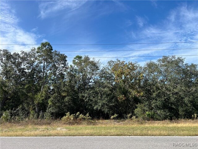 1638 S Rock Crusher Rd, Homosassa, FL 34448