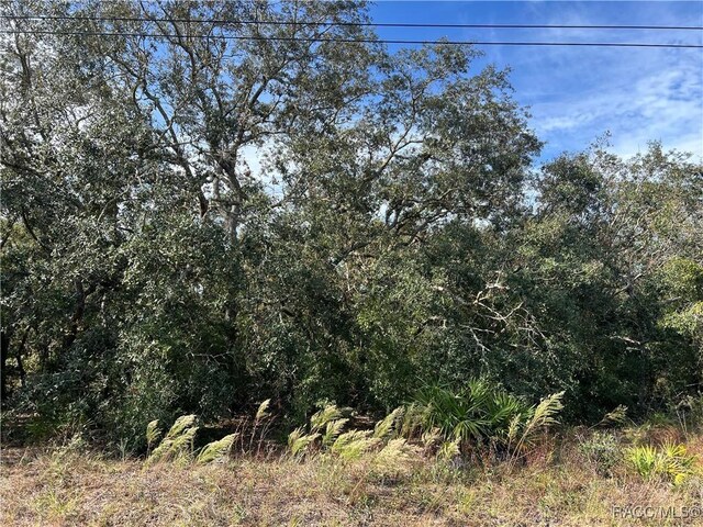 1638 S Rock Crusher Rd, Homosassa, FL 34448