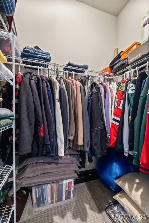 walk in closet with carpet flooring