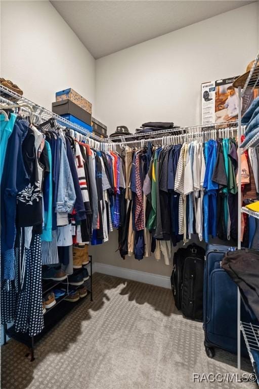 spacious closet with carpet