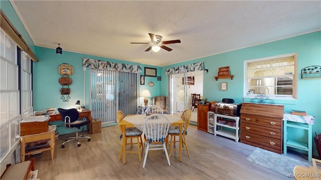 dining area with light wood-style flooring, a healthy amount of sunlight, and a ceiling fan