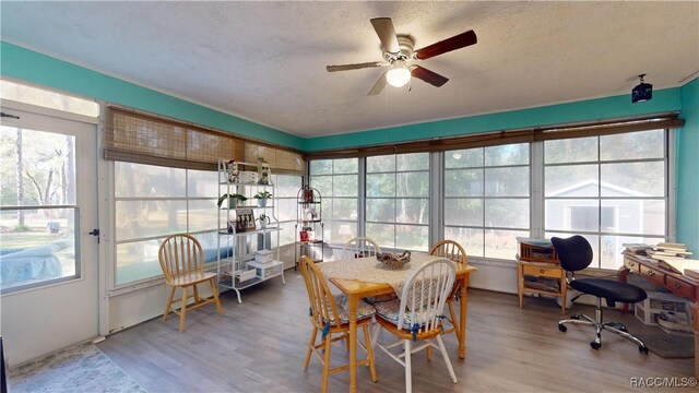 sunroom with ceiling fan