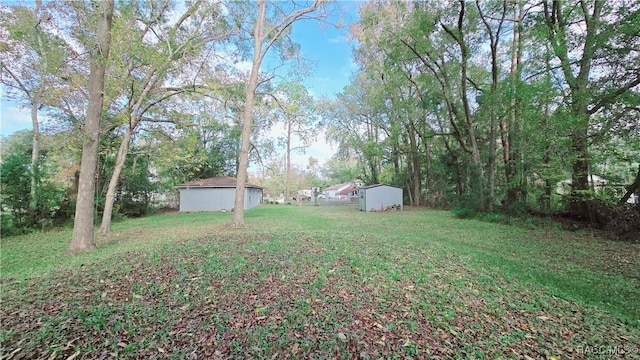 view of yard with a storage unit