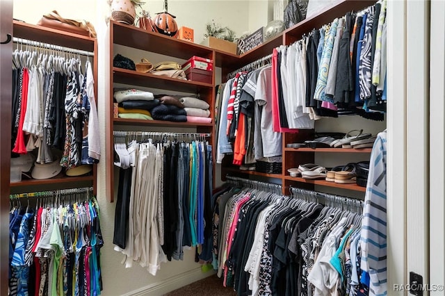 walk in closet with carpet floors