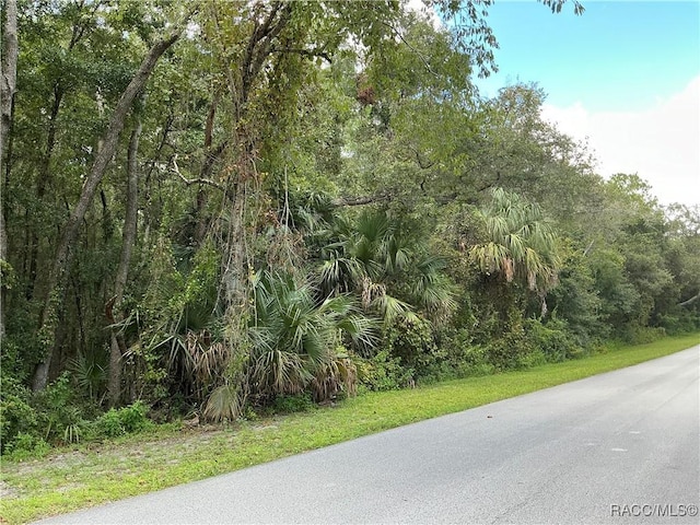 Listing photo 3 for 58 N Bauer Rd, Lecanto FL 34461