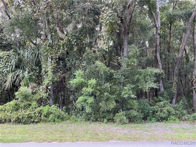 58 N Bauer Rd, Lecanto FL, 34461 land for sale