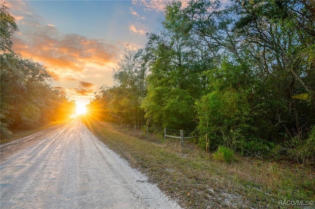 Listing photo 3 for TBD Rim Rock St, Webster FL 33597