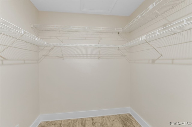 walk in closet featuring light wood-style floors