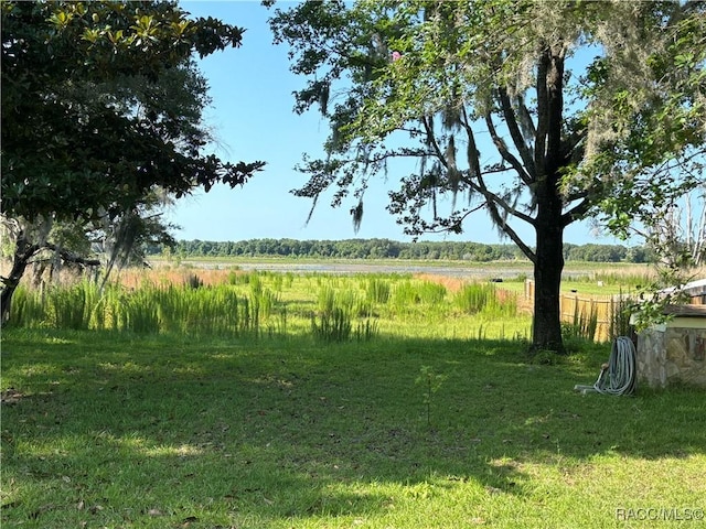 view of yard featuring a rural view