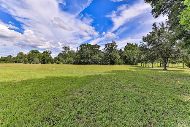 783 E Alaska Ln, Hernando, FL 34442 - view of grassy yard