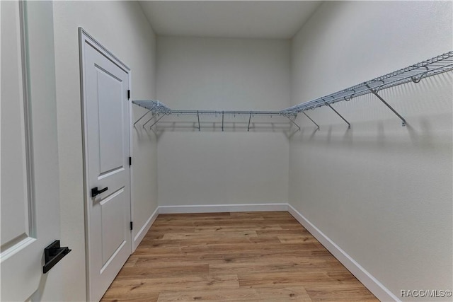 783 E Alaska Ln, Hernando, FL 34442 - spacious closet featuring light wood-style flooring