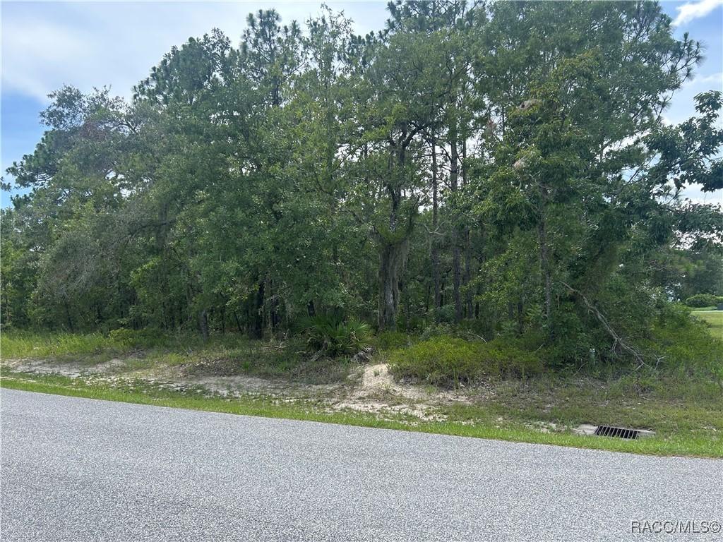 165 Daisy St, Homosassa, FL 34446 - photo 1