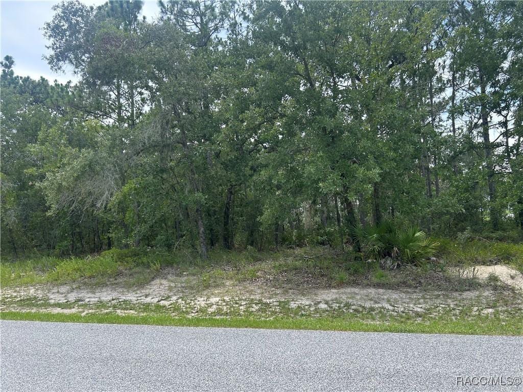 165 Daisy St, Homosassa, FL 34446 - photo 2