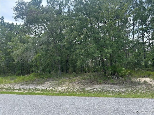 165 Daisy St, Homosassa, FL 34446 - photo 2