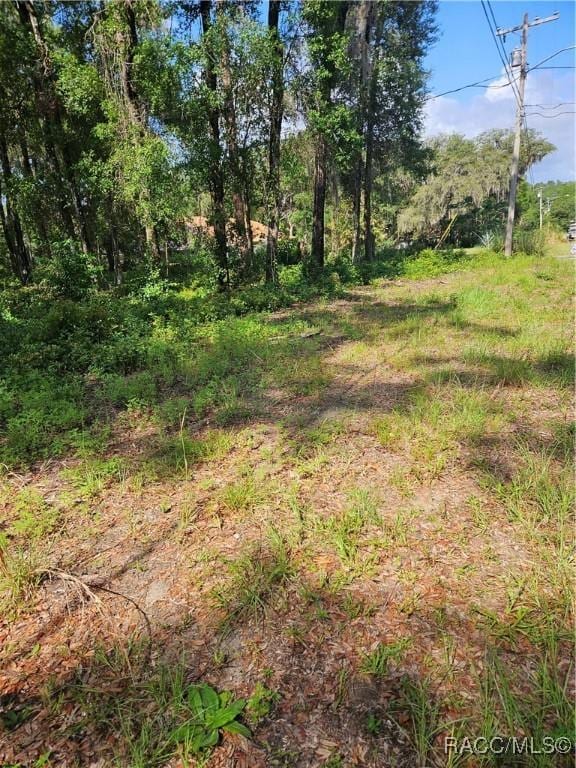 2235 W Main St, Inverness, FL 34452 - photo 8