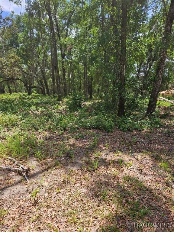 2235 W Main St, Inverness, FL 34452 - photo 2