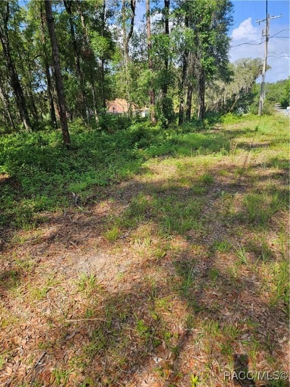 2235 W Main St, Inverness, FL 34452 - photo 9