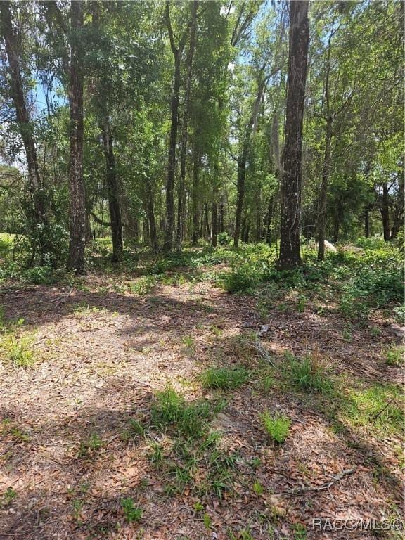 2235 W Main St, Inverness, FL 34452 - photo 1
