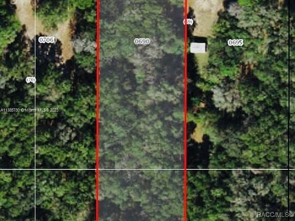 2235 W Main St, Inverness, FL 34452 - photo 3
