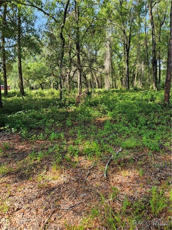 2235 W Main St, Inverness, FL 34452 - photo 7