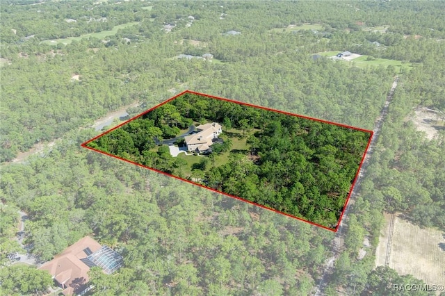 4160 W Bonanza Dr, Beverly Hills, FL 34465 - aerial overview of property's location with a forest and property boundaries highlighted