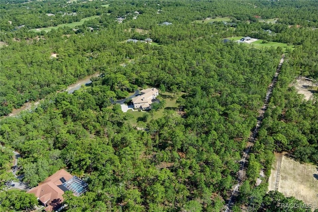 4160 W Bonanza Dr, Beverly Hills, FL 34465 - aerial overview of property's location featuring a heavily wooded area