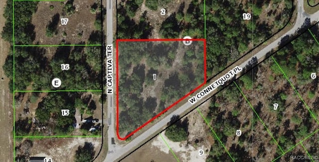 11641 N Captiva Ter, Dunnellon FL, 34433 land for sale