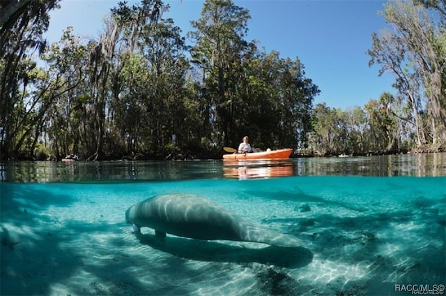 view of swimming pool with a water view